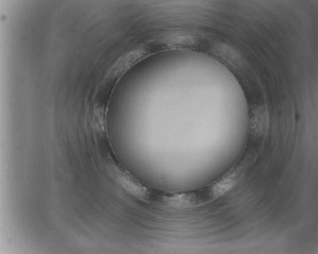 X0000062890430200601201850