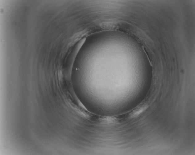 X0000062890432200601201850