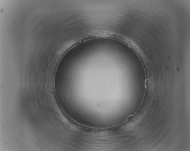 X0000062890433200601201849