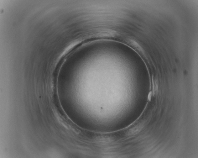 X0000062890435200601201849