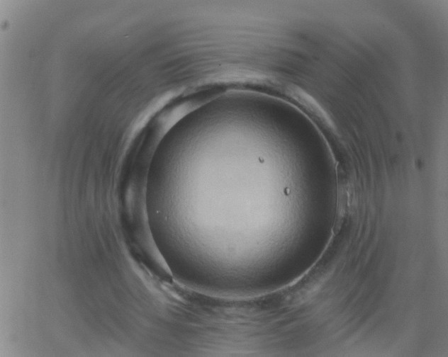 X0000062890436200601201849