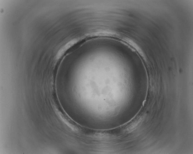 X0000062890437200601201849