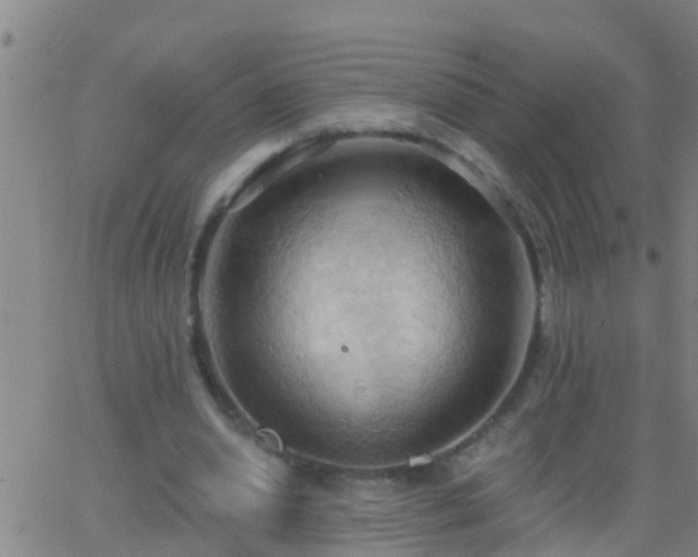 X0000062890438200601201849