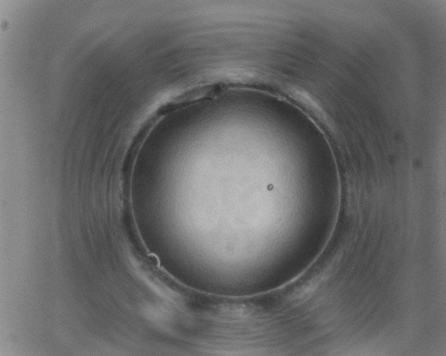 X0000062890439200601201850