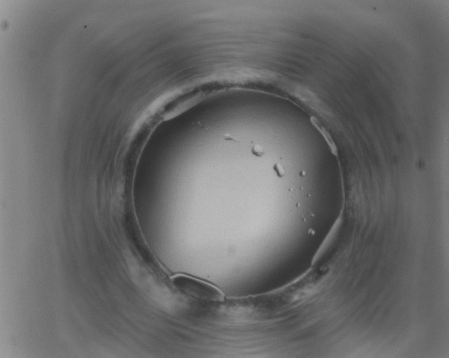 X0000062890440200601201850