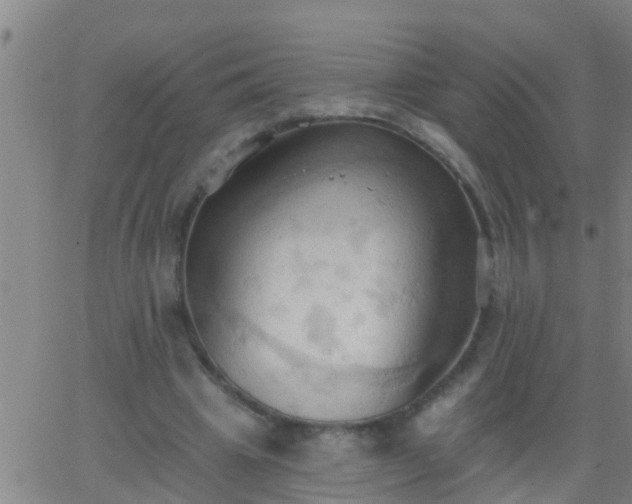 X0000062890441200601201850