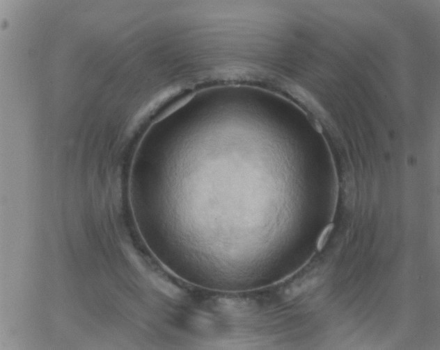 X0000062890442200601201850