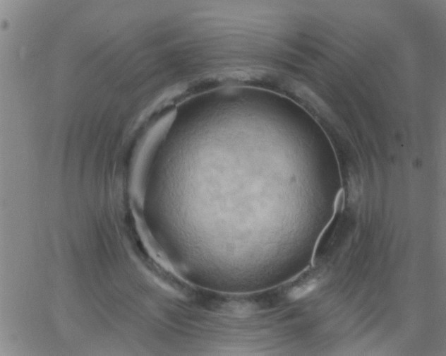 X0000062890444200601201850