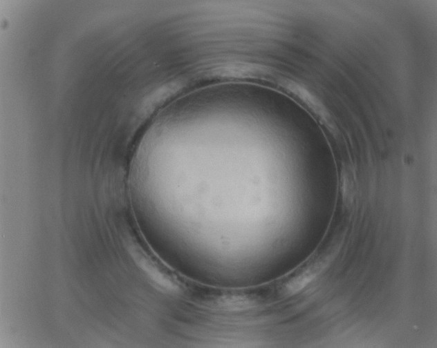 X0000062890445200601201850