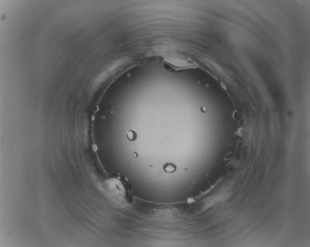 X0000062890446200601201850