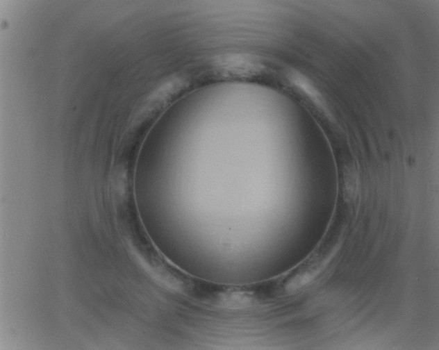 X0000062890451200601201850