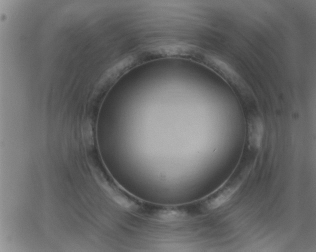 X0000062890453200601201850