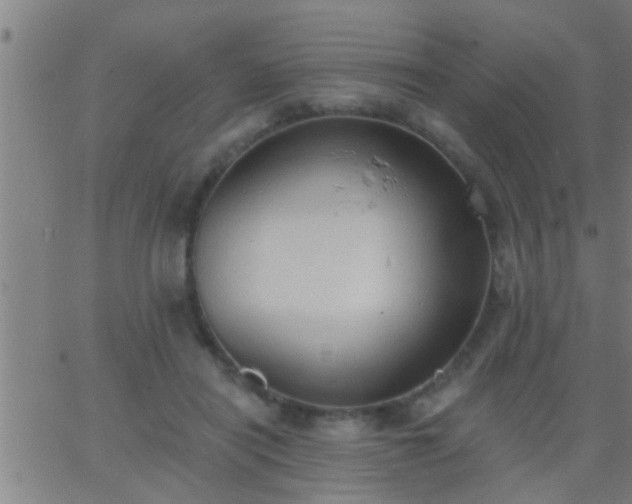 X0000062890454200601201850