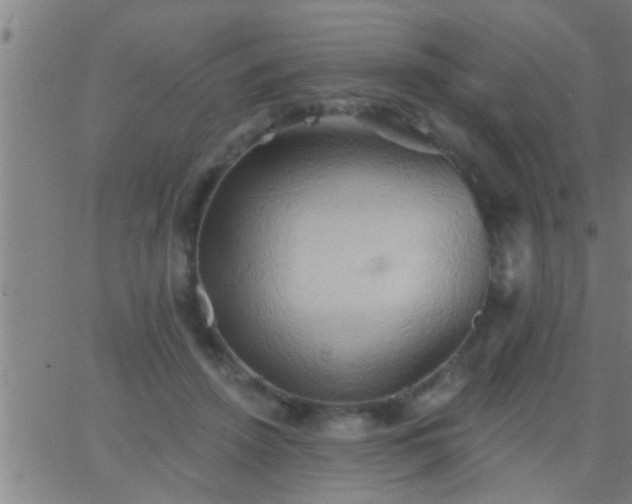 X0000062890456200601201850