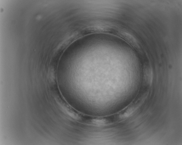 X0000062890457200601201850