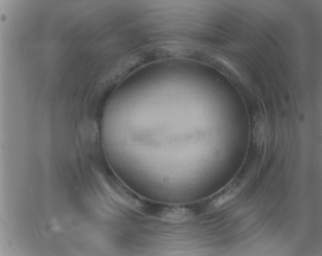 X0000062890459200601201850