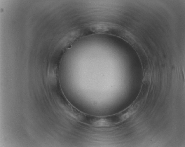 X0000062890460200601201850