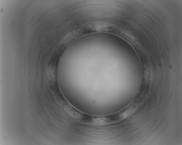 X0000062890461200601201850