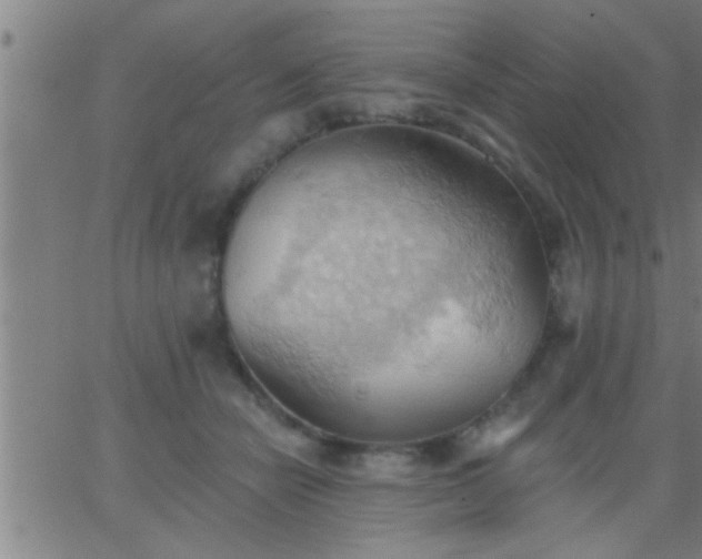 X0000062890462200601201850