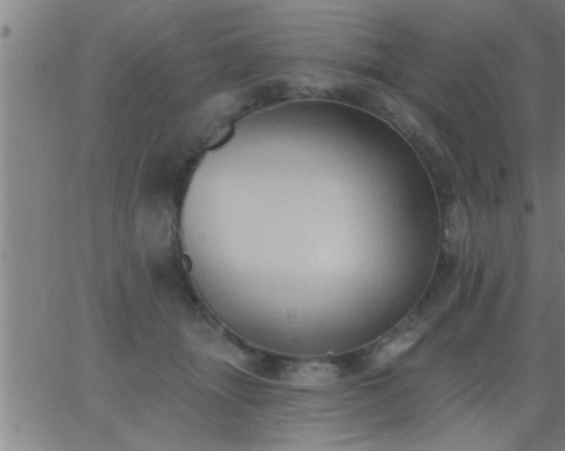 X0000062890463200601201850