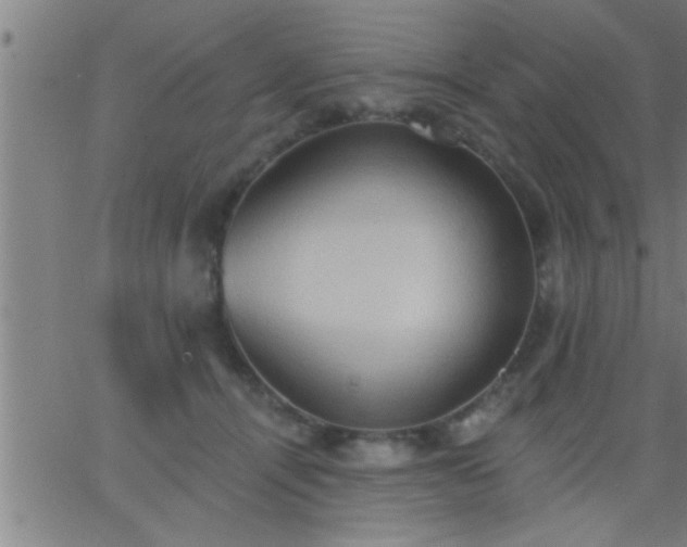 X0000062890464200601201850