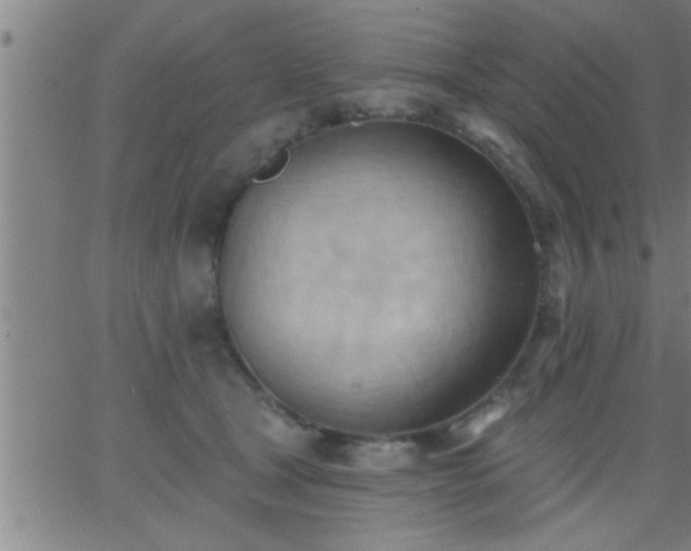 X0000062890465200601201850