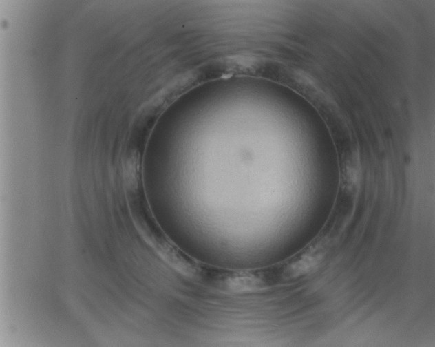 X0000062890468200601201850