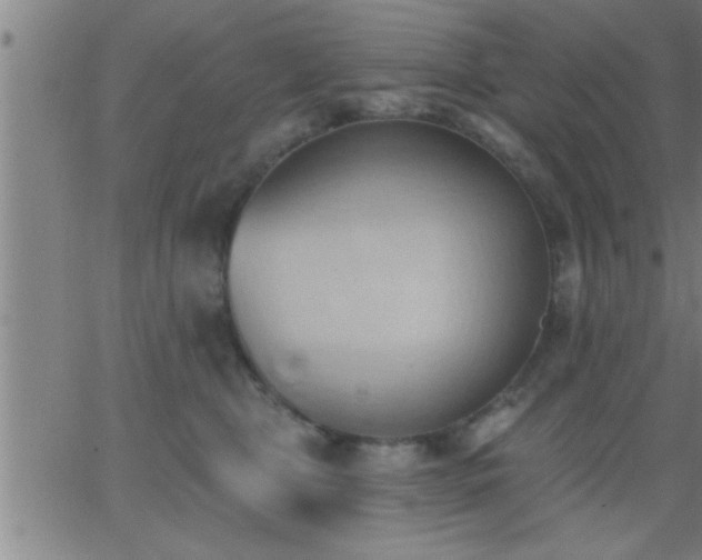 X0000062890469200601201850