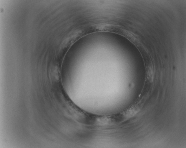 X0000062890470200601201850