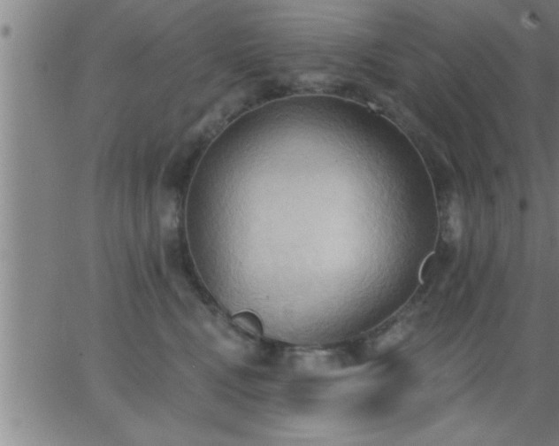 X0000062890472200601201850