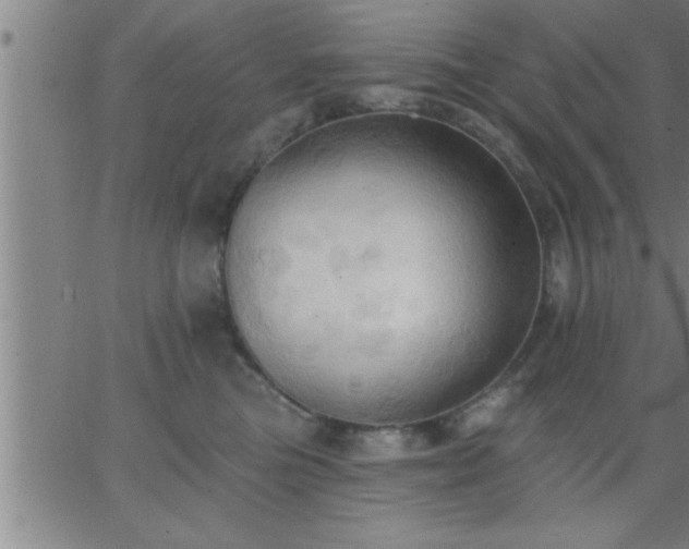 X0000062890473200601201850