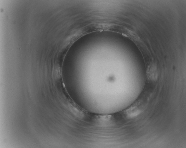 X0000062890474200601201850