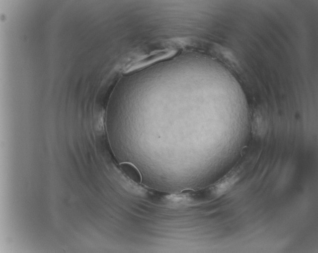 X0000062890477200601201850