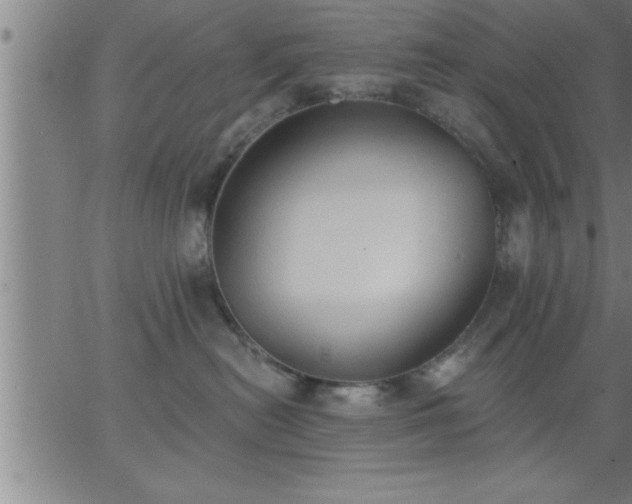 X0000062890478200601201850