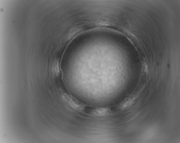 X0000062890479200601201850