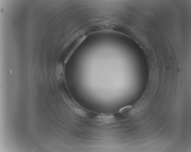 X0000062890480200601201850