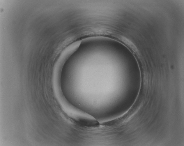 X0000062890481200601201849