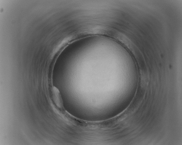 X0000062890482200601201849