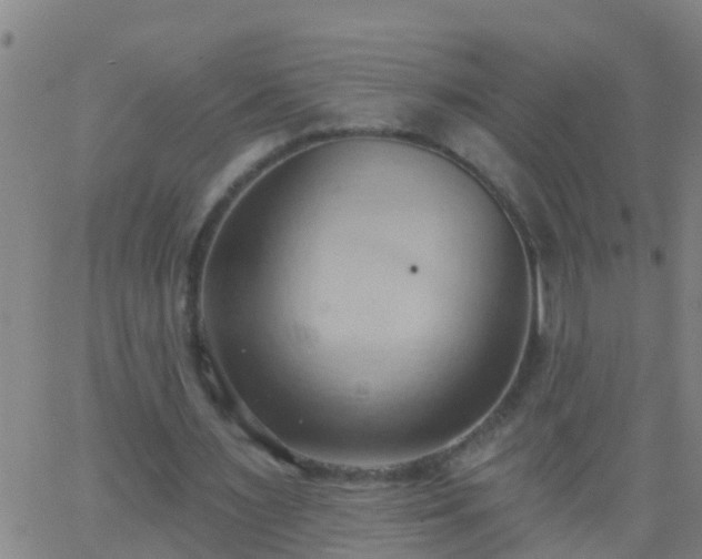 X0000062890483200601201849