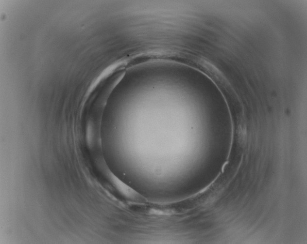 X0000062890484200601201849