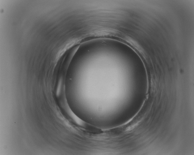 X0000062890485200601201849