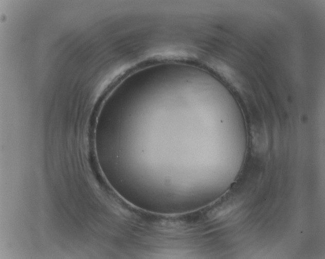 X0000062890487200601201849