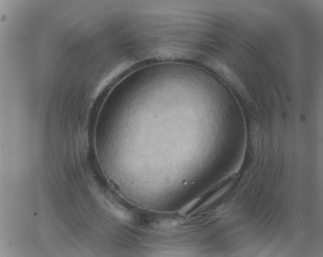 X0000062890488200601201849