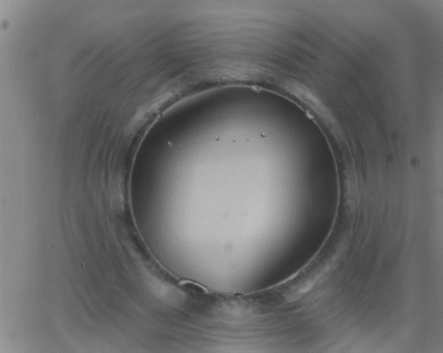 X0000062890489200601201849