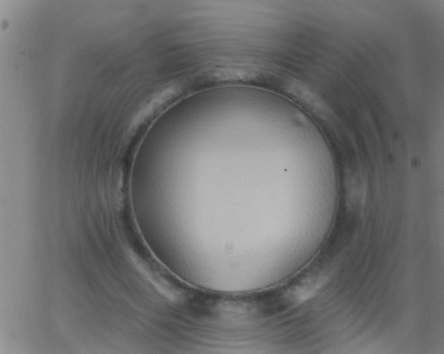 X0000062890490200601201849