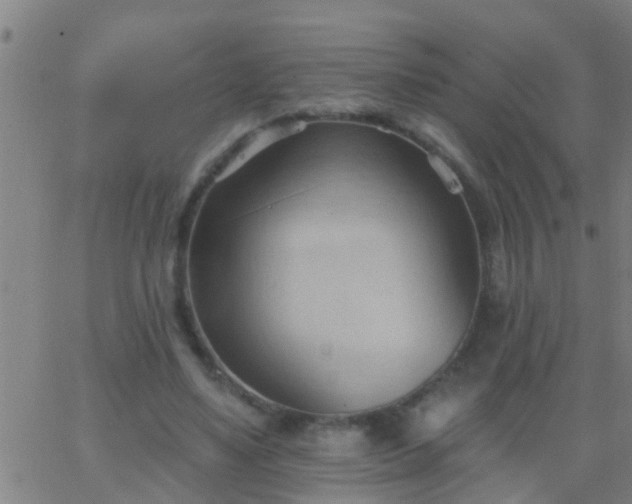 X0000062890491200601201849