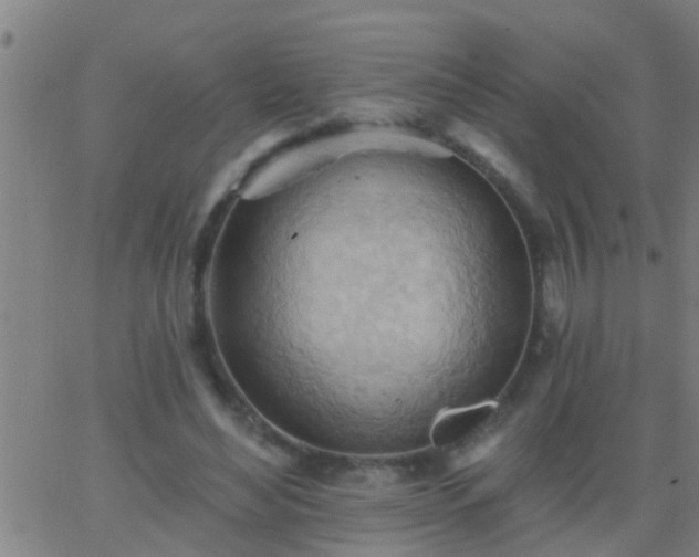 X0000062890492200601201849