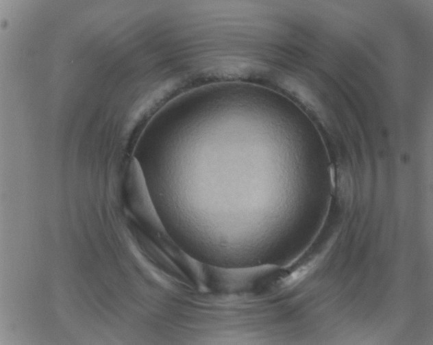 X0000062890493200601201849