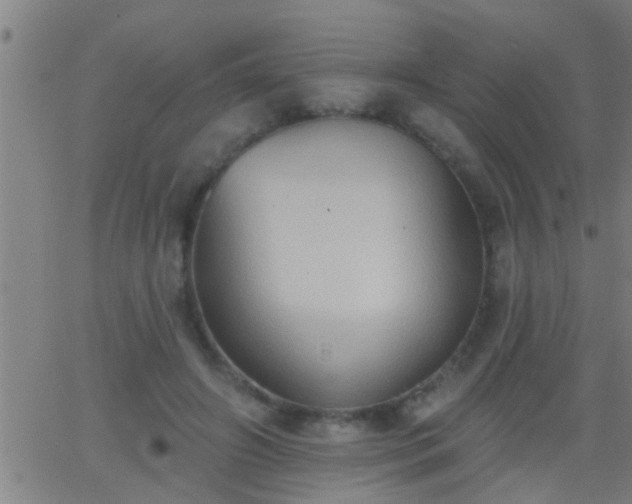 X0000062890498200601201849