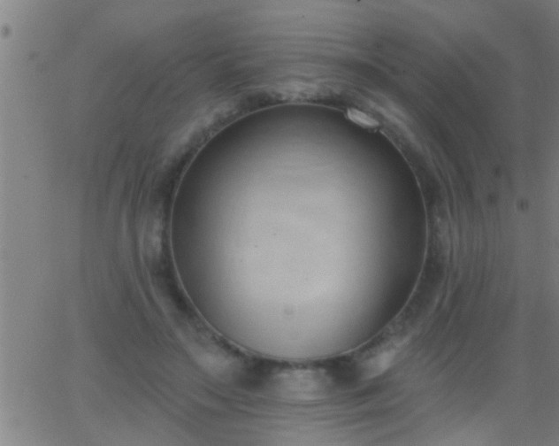 X0000062890499200601201849